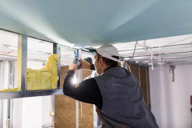 Best Affordable Insulation Services  in Independence, KY