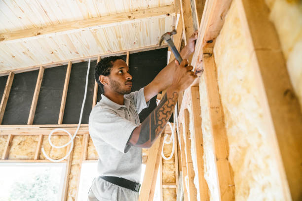 Best Insulation Contractors for Homes  in Independence, KY